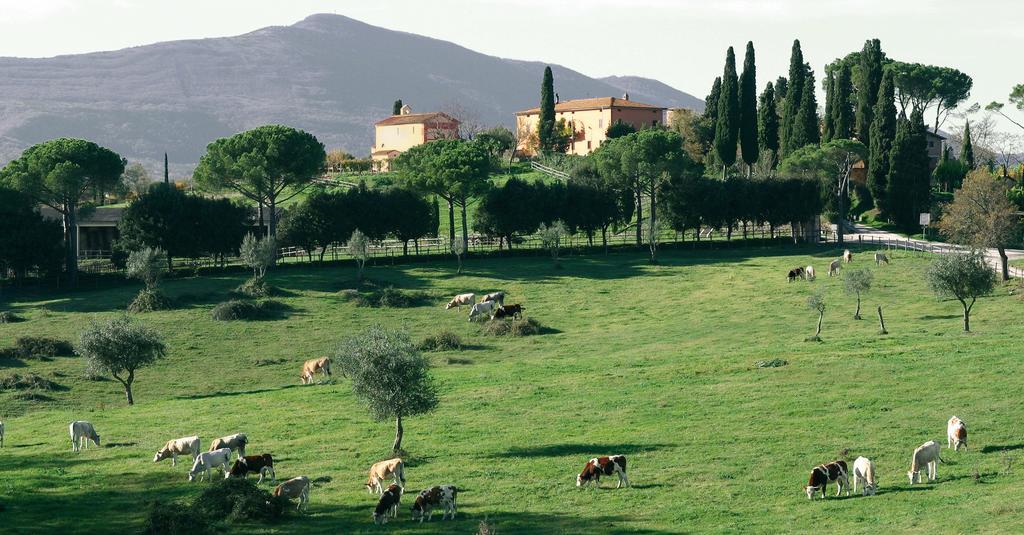 Poggiovalle Tenuta Italiana Belvedere  エクステリア 写真